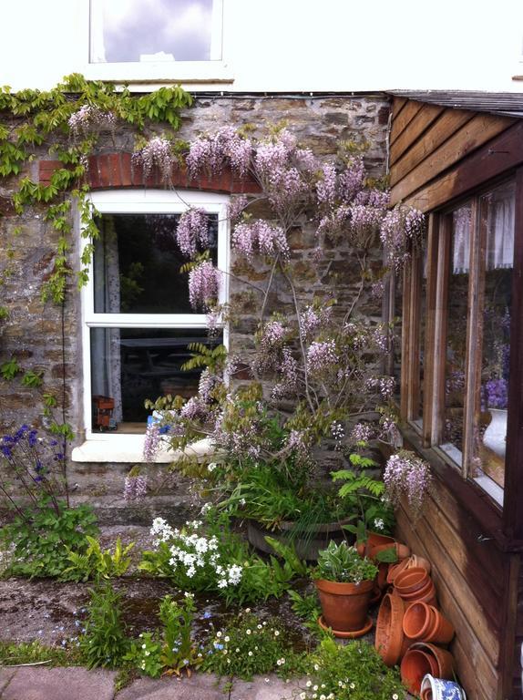 Vine Cottage Penpillick Экстерьер фото